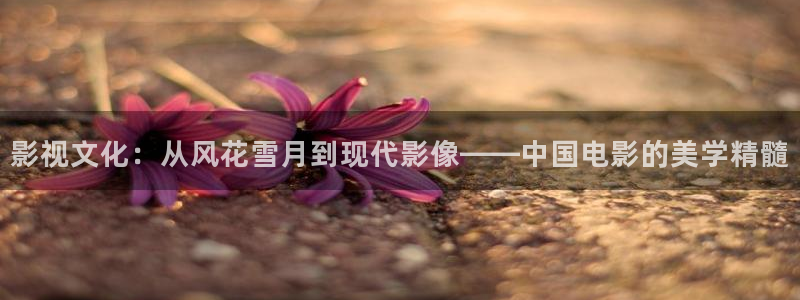 人人做人人爽人人爱秋霞影视