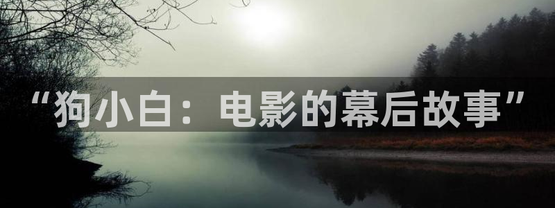 秋霞电影手机伦理版