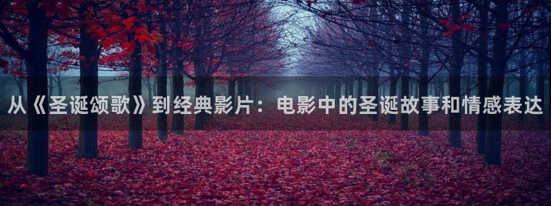 秋霞午夜理论影院