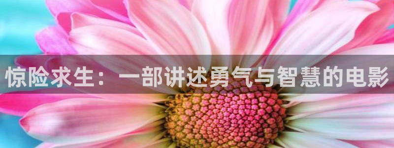 秋霞电影高清完整版