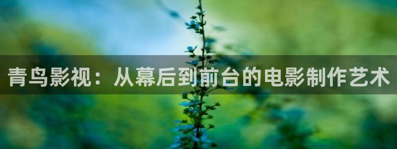 秋霞电影网三级