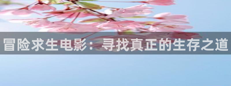 秋霞电影网飘花影视
