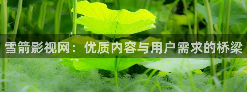 秋霞电影秋霞