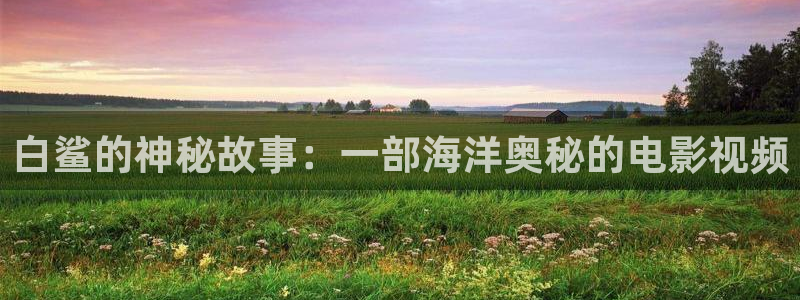 秋霞理论推理片电影