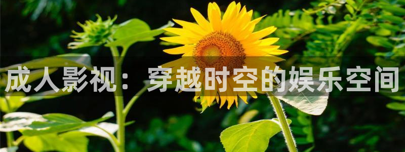 秋霞电影抡理片