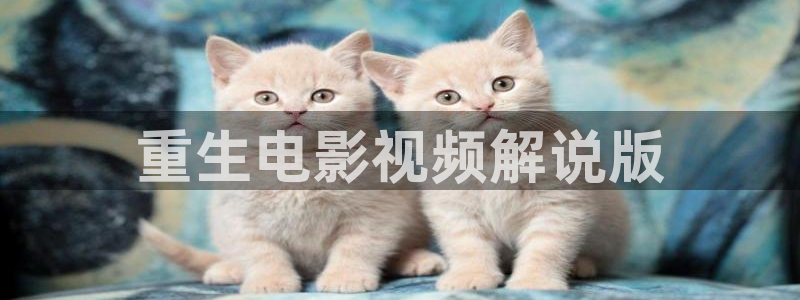 秋霞网站在线观看